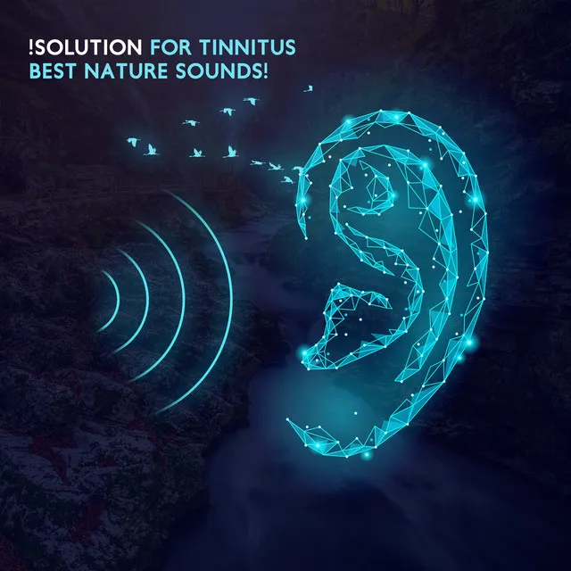 !Solution for Tinnitus - Best Nature Sounds!