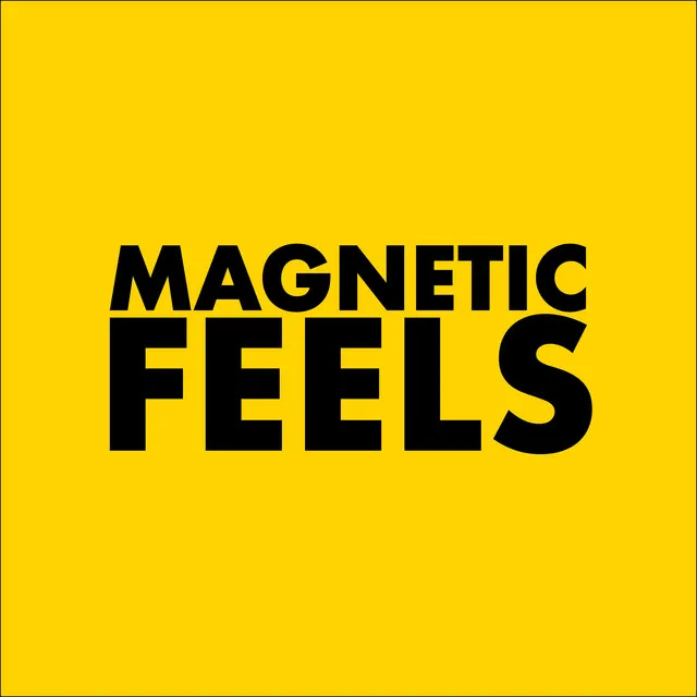 Magnetic Feels