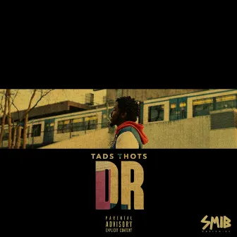 Dr - Single by Tads Thots