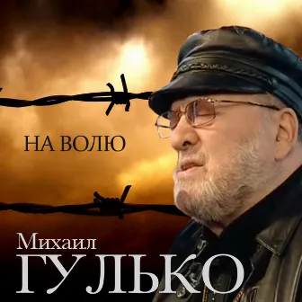 На Волю - Single by Mikhail Gulko