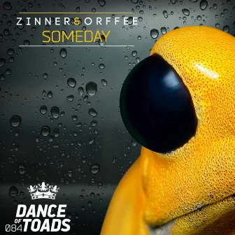 Someday by Zinner