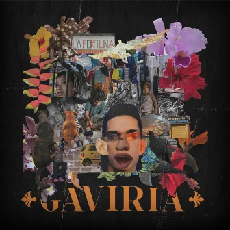 Gaviria by RLX