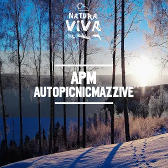 AutoPicnicMazzive by APM