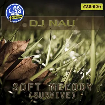 Soft Melody by Dj Nau