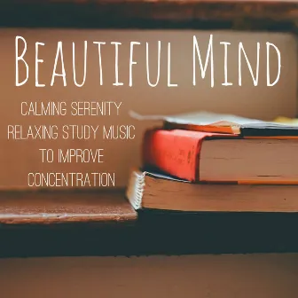 Beautiful Mind - Calming Serenity Relaxing Study Music to Improve Concentration with New Age Instrumental Natural Sounds by Unknown Artist