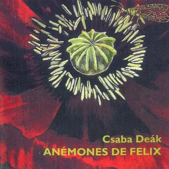 Anemones de Felix by Csaba Deak