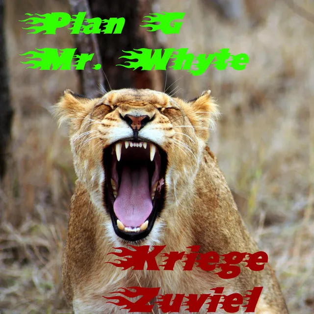 Kriege Zuviel