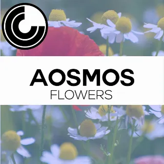 Flowers by Aosmos