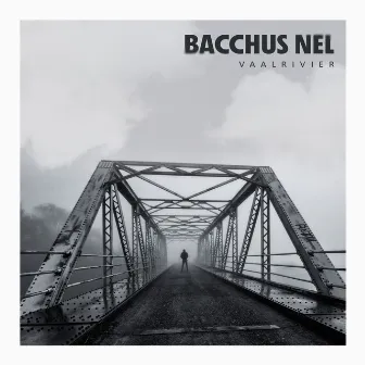 Vaalrivier by Bacchus Nel