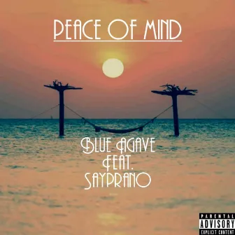 Peace of Mind by Blue Agave