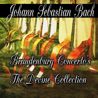 Johann Sebastian Bach: Brandenburg Concerto's The Divine Collection by Unknown Artist