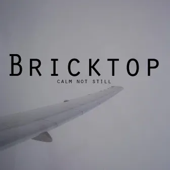 Calm Not Still by Bricktop