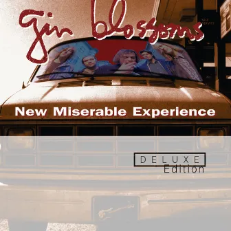 New Miserable Experience by Gin Blossoms