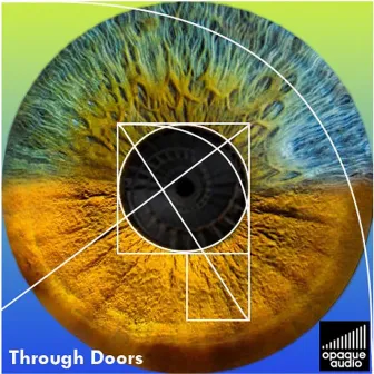 Through Doors Mixes EP by opaque audio