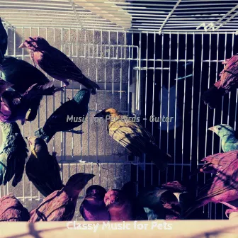 Music for Pet Birds - Guitar by 