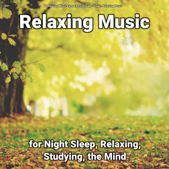 #01 Relaxing Music for Night Sleep, Relaxing, Studying, the Mind by Relaxing Music by Joey Southwark