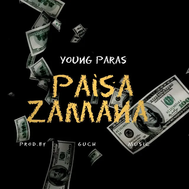 Paisa Zamana