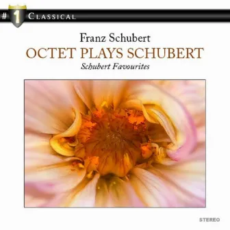 Franz Schubert: Octet in F Major D 803 Op. 166 by Schweizer Oktett