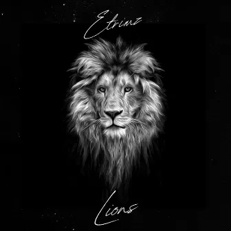 Lions by Etrimz