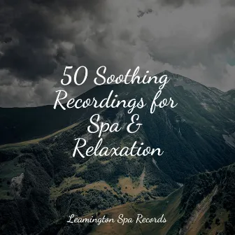 50 Soothing Recordings for Spa & Relaxation by Binaural Beats Brainwave Entrainment