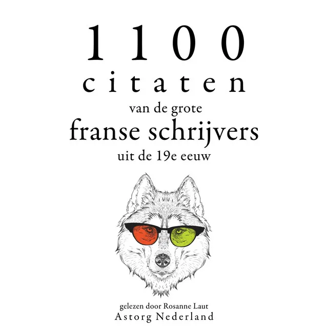 Chapter 3.8 & Chapter 4.1 - 1100 citaten van de grote Franse schrijvers uit de 19e eeuw