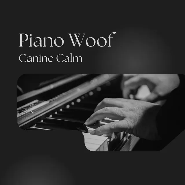 The Calm Piano