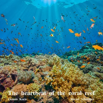 The Heartbeat of the Coral Reef by Bernd Schreiber