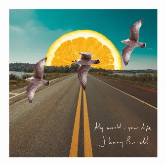 My World, Your Life by Johnny Borrell