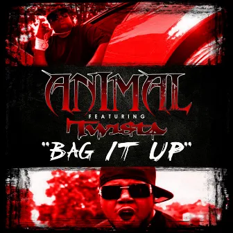 Bag It Up ft. Twista by Animal