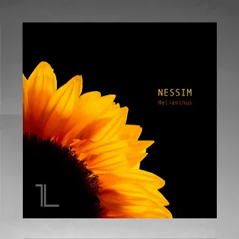 Helianthus by Nessim (BE)