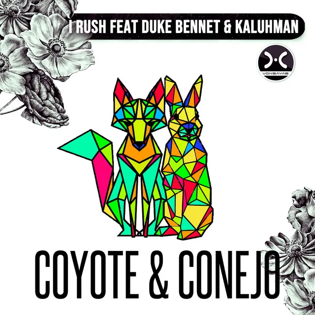 Coyote & Conejo