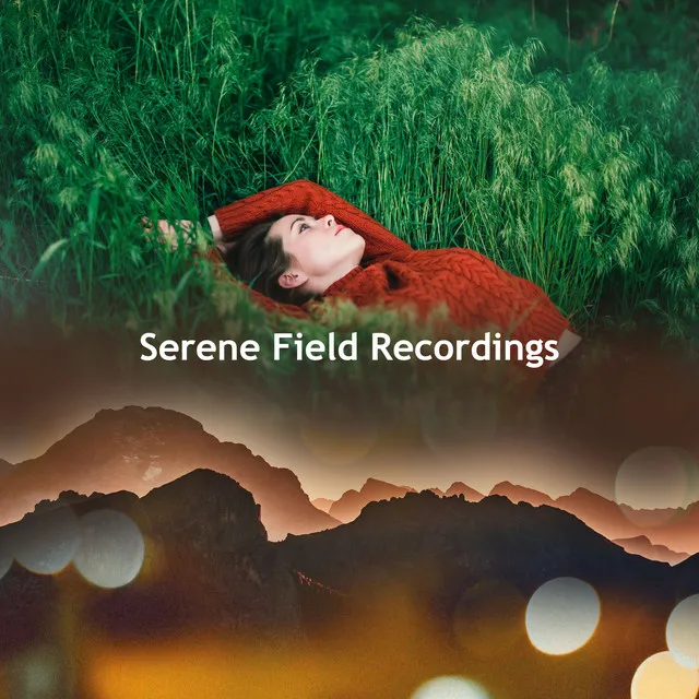 Serene Field Recordings