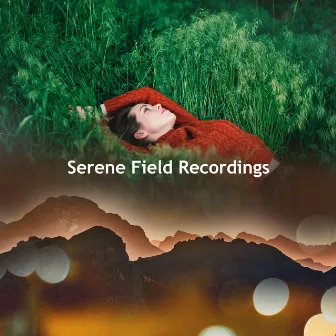 Serene Field Recordings by Night Time Outside