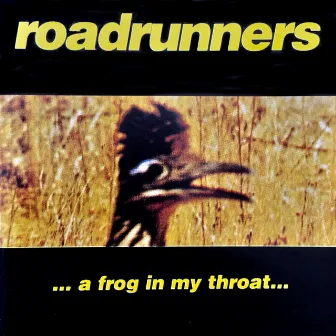 A FROG IN MY THROAT by RoadRunners