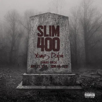 Shake Back (feat. Young Dolph) by Slim 400