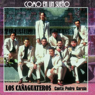 Como en un Sueño by Los Cañaguateros