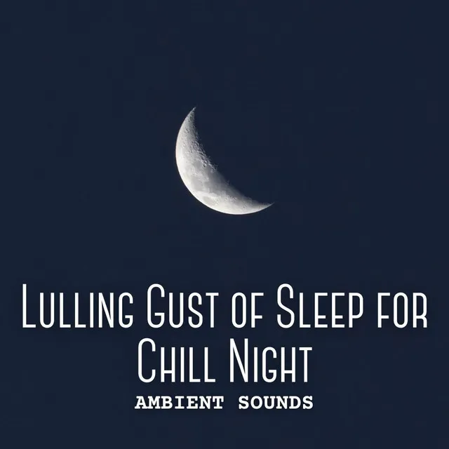 Ambient Sounds: Lulling Gust of Sleep for Chill Night