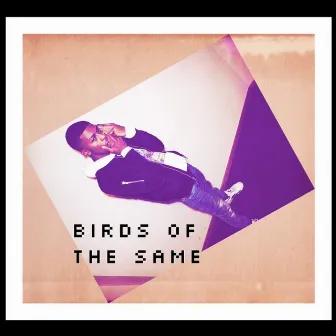 birds of the same (flock) by K-Dot