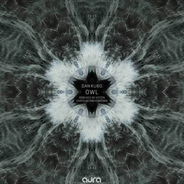 Owl - Dan Kubo Night Bird Mix