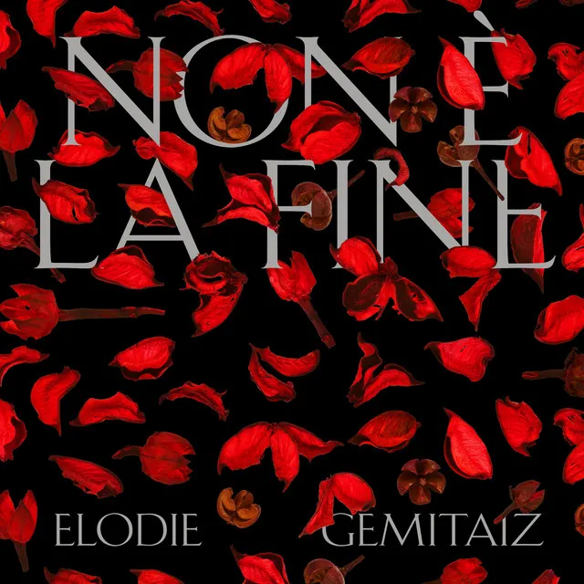 Non È La Fine (feat. Gemitaiz)