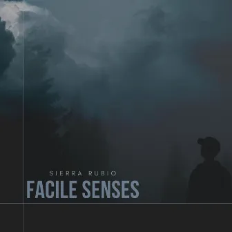 Facile Senses by Sierra Rubio