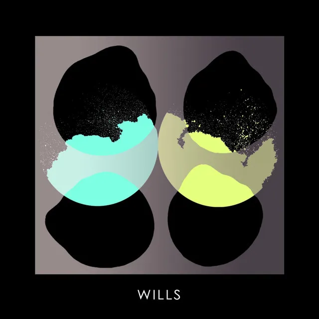 Wills