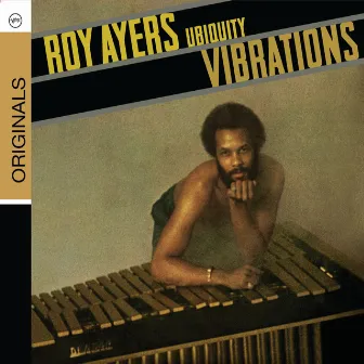 Vibrations by Roy Ayers