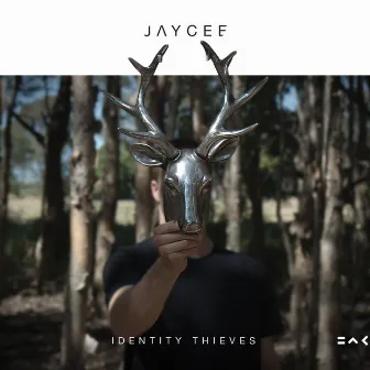 Identity Thieves by JayCee