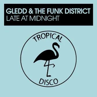 Late At Midnight by The Funk District