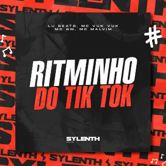 Ritminho do Tik Tok by Lu Beats