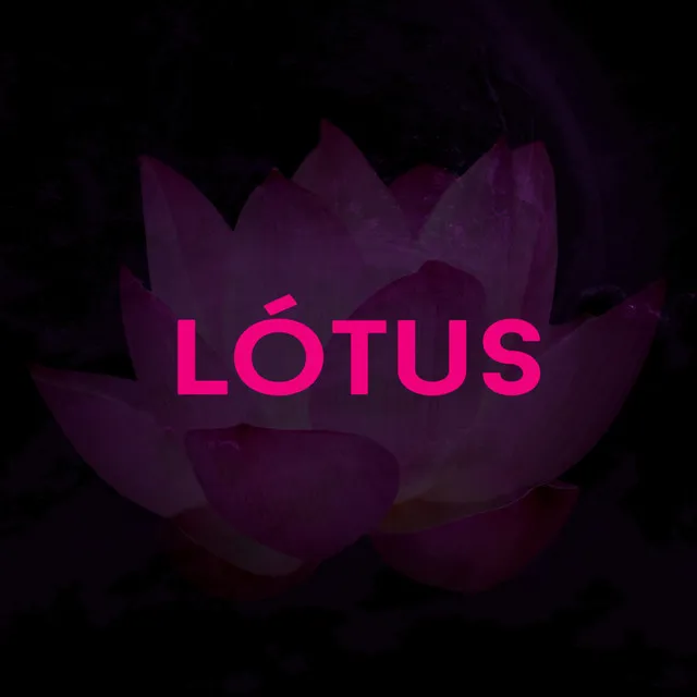 Lótus