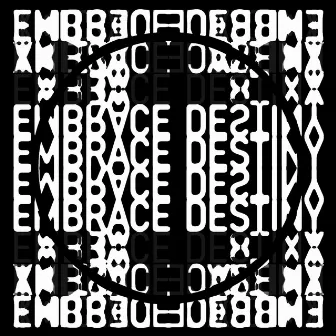 EMBRACE DESTINY by BLVCK NOIZE