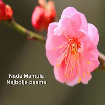 Najbolje pesme by Nada Mamula