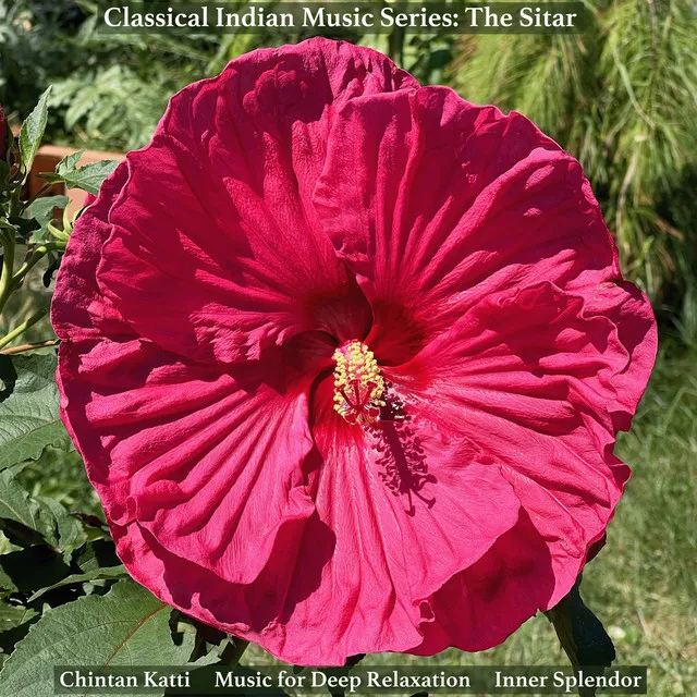 Classical Indian Music Series: The Sitar